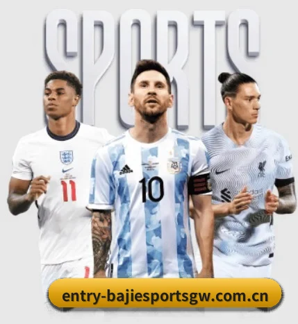 五大服务分区,信息按项目分类